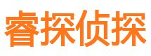 凭祥市调查公司